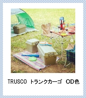 010箱货OD颜色