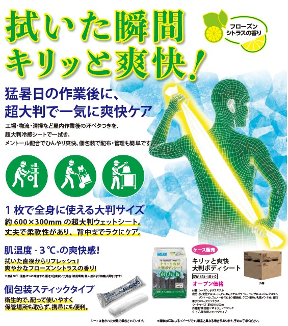 （株）テラモト　キリっと爽快大判ボディシート