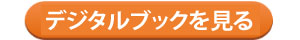 观看数字图书