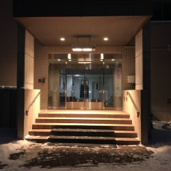 エルコム 遠赤外線融雪装置 解けルモ 設置例 エントランス階段