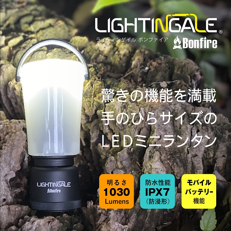 ライティンゲイル ランタン KV