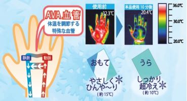 アイティイー アイスバッテリ―2