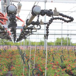 ロックライン　画像2-1