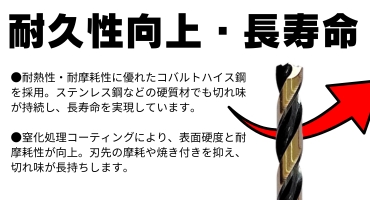 虎ドリ 1-2