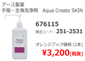 アース製薬　手指・全身洗浄剤　Aqua Create SKIN　676115