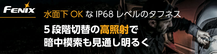 FENIX キービジュアル